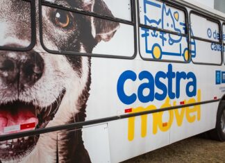 Prefeitura de Itapevi realiza 7ª Campanha de Castração de Cães e Gatos
