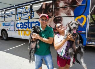 Inscrições para castração gratuita de cães e gatos continuam abertas em Itapevi