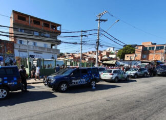 Mais de 100 pássaros são resgatados em operação da GCM e PM de Osasco