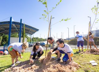 Itapevi planta Cerejeiras no Memorial Parque