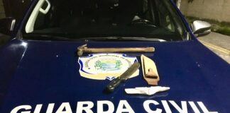 GCM prende suspeito de matar cachorro na Vila São Luiz, em Barueri