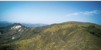 Santana de Parnaíba realiza ação para recuperação ambiental no morro do Voturuna