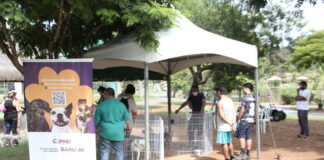 Barueri: Parque Dom José recebe Feira de Adoção de Cães neste final de semana