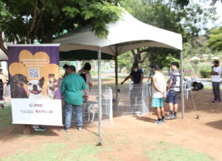 Barueri: Parque Dom José recebe Feira de Adoção de Cães neste final de semana
