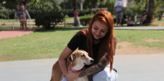 Sábado é dia de Feira de Adoção de Cães no Parque Dom José, em Barueri