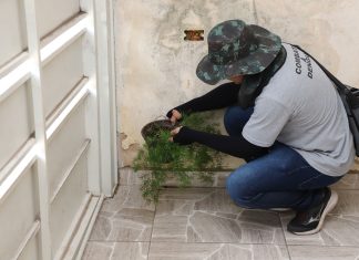 Barueri: Sábado é dia de mutirão contra a dengue no Imperial