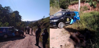 Corpos carbonizados são encontrados à beira de estrada em Itapevi