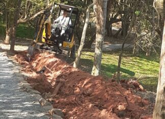 Cotia: Parque Teresa Maia está ganhando iluminação e terá horário estendido de funcionamento