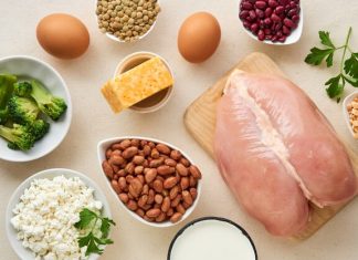 Qualidade da proteína importa mais do que volume: o que você deve saber?