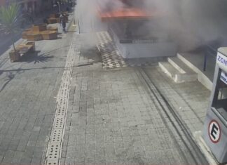 Imagens do totem de monitoramento identificam incêndio e GCM de Cotia aciona socorro