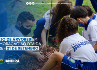 Jandira realiza ações de conscientização sobre a importância das árvores
