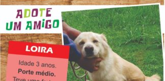Adota Delivery viabiliza adoção de pets on-line em Barueri
