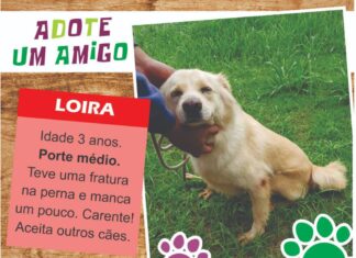 Adota Delivery viabiliza adoção de pets on-line em Barueri