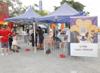 Feiras de adoção de pets de março começam já no dia 1º em Barueri