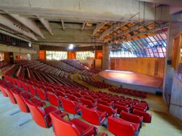 Museu Felícia Leirner e Auditório Claudio Santoro promovem atividades para Dia dos Pais
