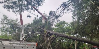 No carnaval, Defesa Civil atendeu a 25 ocorrências relacionadas às fortes chuvas em Cotia