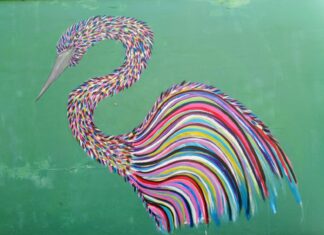 Parques Estaduais Urbanos recebem pinturas de espécies brasileiras