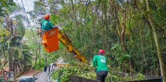 Santana de Parnaíba intensifica serviço de poda de árvores por toda cidade