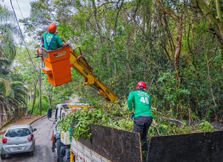 Santana de Parnaíba intensifica serviço de poda de árvores por toda cidade