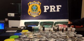PRF prende traficante internacional russo de animais silvestres