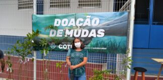 Centenas de mudas foram doadas durante o ‘Pedágio Ambiental’, em Cotia
