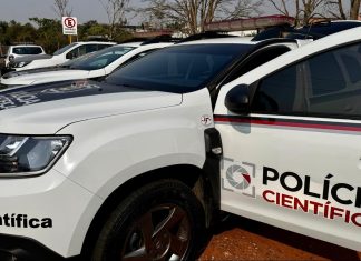 Polícia de SP cria comissão permanente para atendimento de desastres em massa
