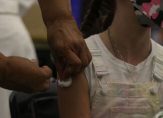 Primeiro caso da Ômicron XBB.1.5 no Brasil é identificado em São Paulo
