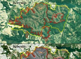 Imagens de satélite mostram que fogo atingiu 53% do Parque do Juquery