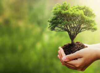 Ministério abre inscrições para cursos sobre sustentabilidade