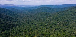 Unesco e Amazonas lançam plano de ação para Amazônia Central