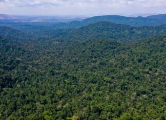 Unesco e Amazonas lançam plano de ação para Amazônia Central