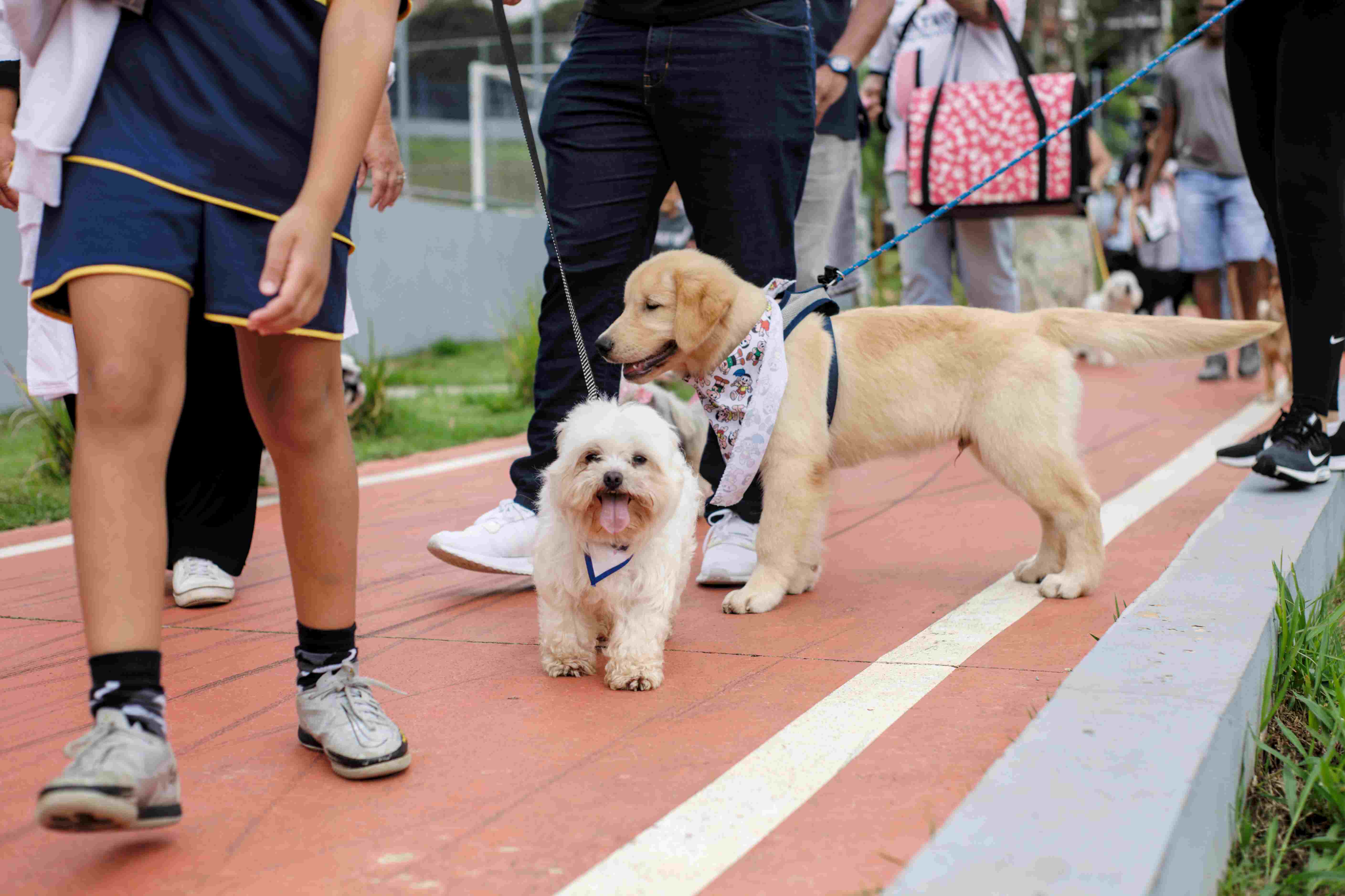 Vacinação no seu bairro_cãominhada e cãocurso fantasia_Juliano Barbosa (29)