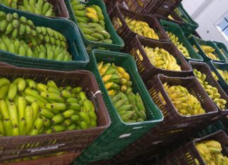 Jandira distribui mais de 2,5 toneladas de alimentos nesta semana