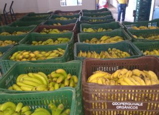 Banco de Alimentos de Jandira distribui mais 2,8 toneladas de alimentos