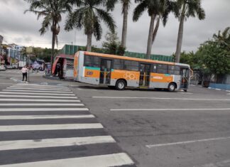Jandira anuncia transporte gratuito para o 2º turno das eleições