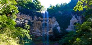 Carnaval sem folia: conheça seis lugares para visitar no estado de SP