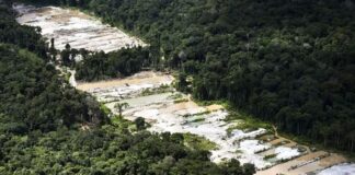 Força-tarefa destrói dez garimpos ilegais na Amazônia