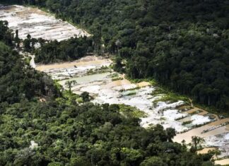 Força-tarefa destrói dez garimpos ilegais na Amazônia