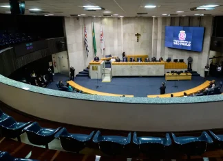 SP: mais mulheres, negros e reeleitos na Câmara Municipal