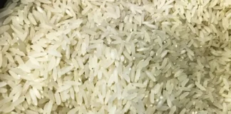 Polícia Federal abre investigação sobre leilão de arroz