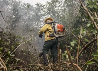 Ibama multa fazendeiros em R$ 100 milhões por incêndio no Pantanal