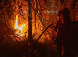 Combate a incêndios no Brasil não será afetado por decisão dos EUA