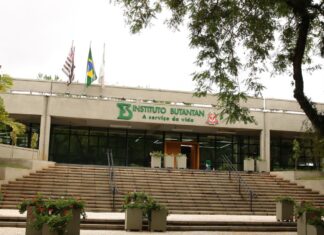 Vacina contra a dengue do Butantan atinge eficácia de 79,6%