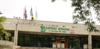 Vacina única contra covid-19 e influenza tem resultados promissores