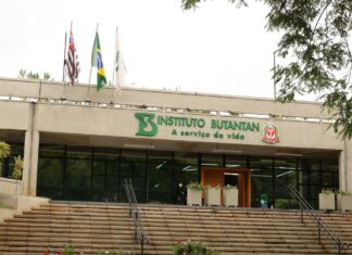 Pesquisa mapeia entrada e disseminação da variante delta no Brasil