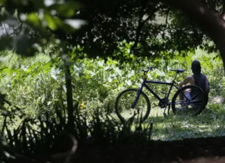 Outono chega com temperaturas acima da média em todas as regiões