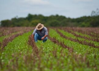 Governo entrega títulos de propriedade rural em São Paulo