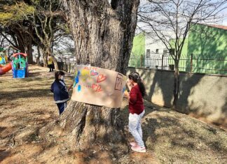 No retorno presencial, espaços ao ar livre são explorados com aulas criativas em Barueri