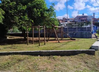 Serviços de limpeza com roçagem e varrição são retomados pela Prefeitura de Cotia