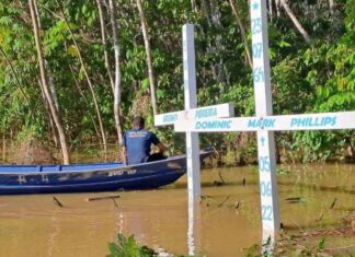 Amazônia reúne 22% das mortes de defensores da terra em todo o mundo